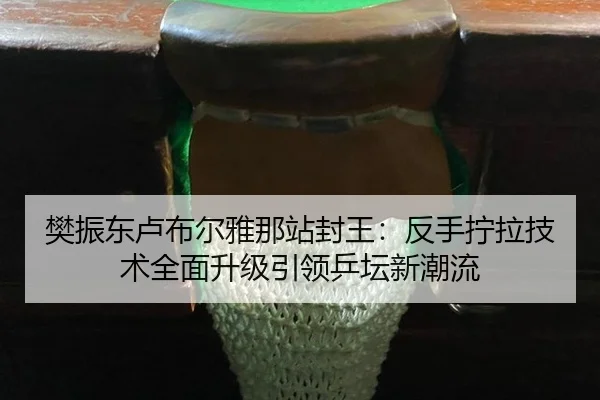 樊振东卢布尔雅那站封王：反手拧拉技术全面升级引领乒坛新潮流