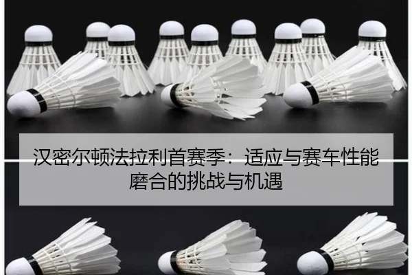 han-mi-er-dun-fa-la-li-shou-sai-ji-shi-ying-yu-sai-che-xing-neng-mo-he-de-tiao-zhan-yu-ji-yu-3-868.jpg
